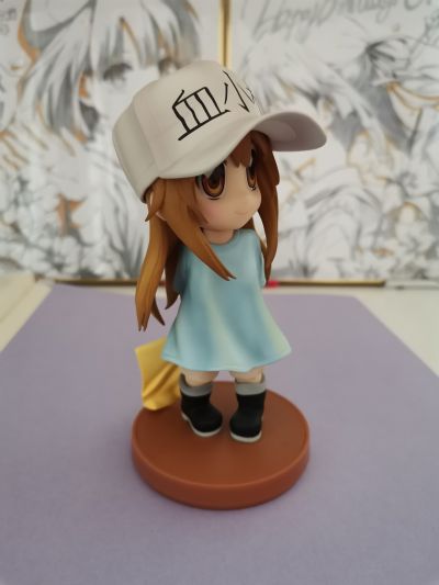 工作细胞 血小板