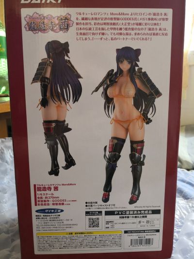 少女骑士物语 More&More 龙造寺茜
