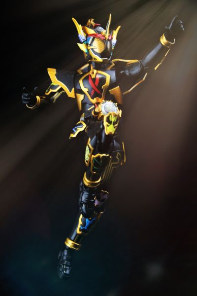 S.H.Figuarts 假面骑士灵骑   感恩魂