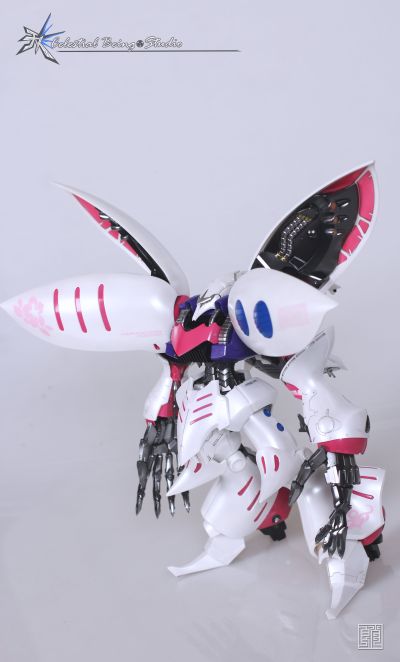 MG  1/100    玫瑰卡碧尼