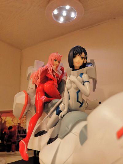 Darling in the FRANXX 零二＆莓
