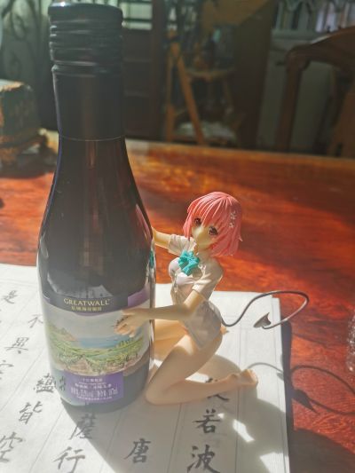出包王女Darkness 饮料架 梦梦