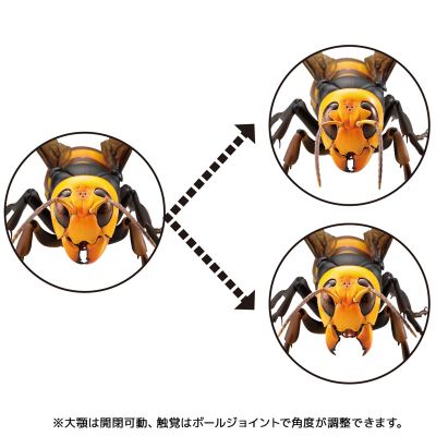 REVOGEO 日本大黄蜂