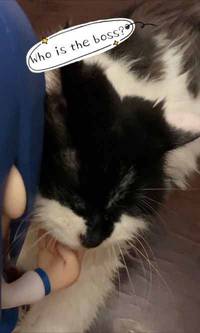pop子和pipi美的日常 pop子