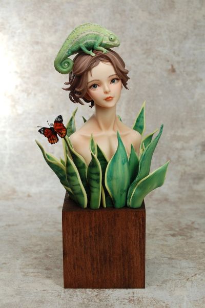 虎尾兰与少女