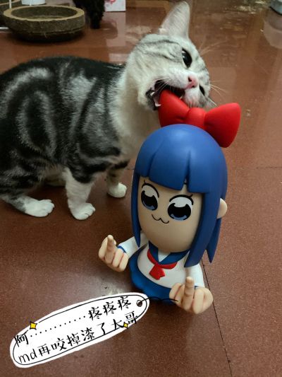 pop子和pipi美的日常 pop子