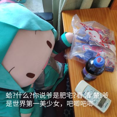 超级巨型软绵绵玩偶 初音未来