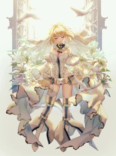 Fate / Grand Order SABER bride