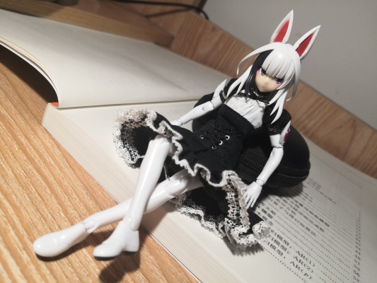 人形の服 White x Black 
