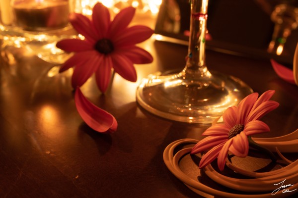 【咸蛙到货水】酒杯少女