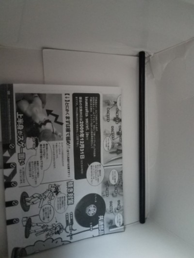 超看护妇 Commander Erika