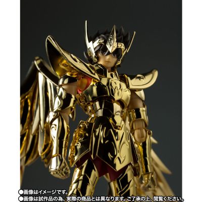 圣斗士圣衣神话EX 圣斗士星矢 射手座的星矢 GOLD 24
