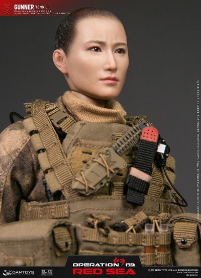 DMS015 红海行动 “蛟龙”特战旅队员 机枪手 佟莉