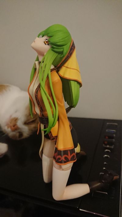 CODE GEASS 复活的鲁路修 C.C.