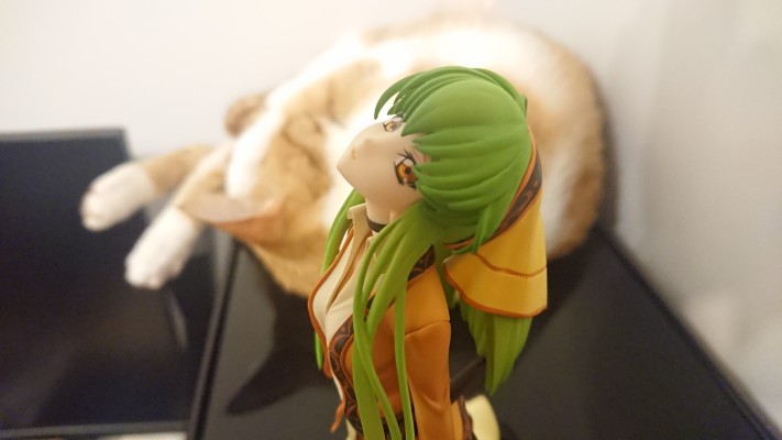 CODE GEASS 复活的鲁路修 C.C.