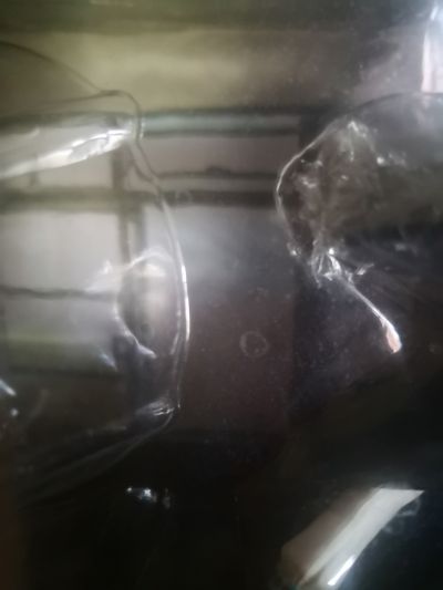 SOS団cosplayコレクション 凉宫春日的忧郁 长门有希 