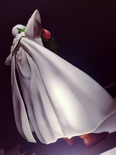 S.H.Figuarts 龙珠Z 比克 -高贵的纳美克星人-