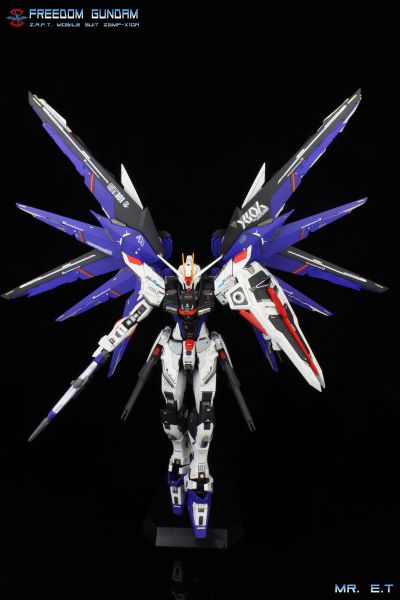 MG 机动战士高达SEED ZGMF-X10A 自由高达