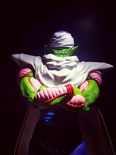 S.H.Figuarts 龙珠Z 比克 -高贵的纳美克星人-