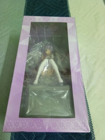 妮菊