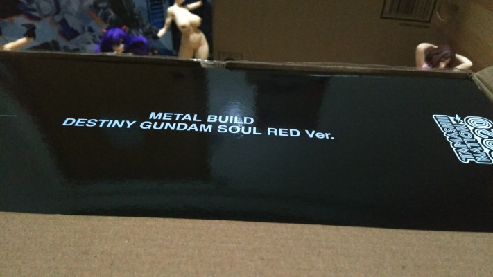 METAL BUILD 机动战士高达SEED DESTINY ZGMF-X42S 命运高达 SOUL RED Ver.