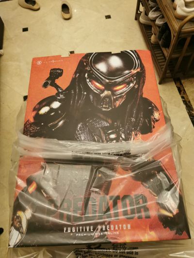 究极稀有主线 PMTPR-1DX 铁血战士 铁血战士 DX版