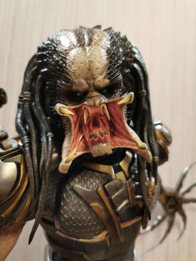 究极稀有主线 PMTPR-1DX 铁血战士 铁血战士 DX版