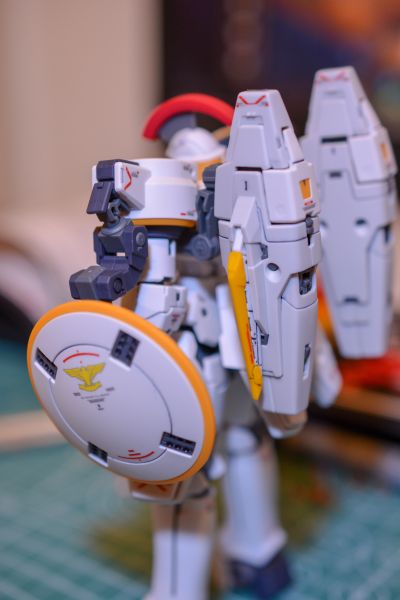 RG 1/144 杜鲁基斯 EW