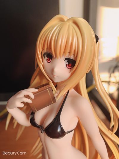 金色暗影 泳装版