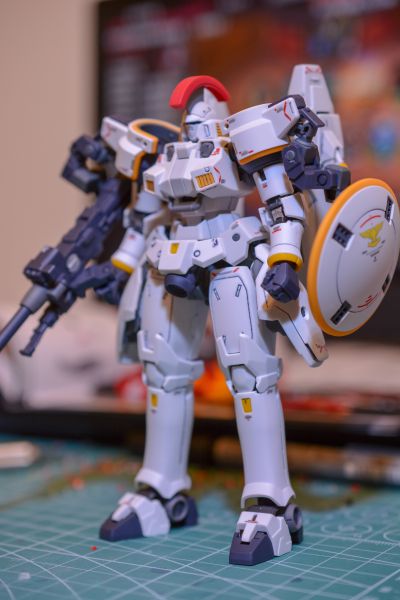 RG 1/144 杜鲁基斯 EW