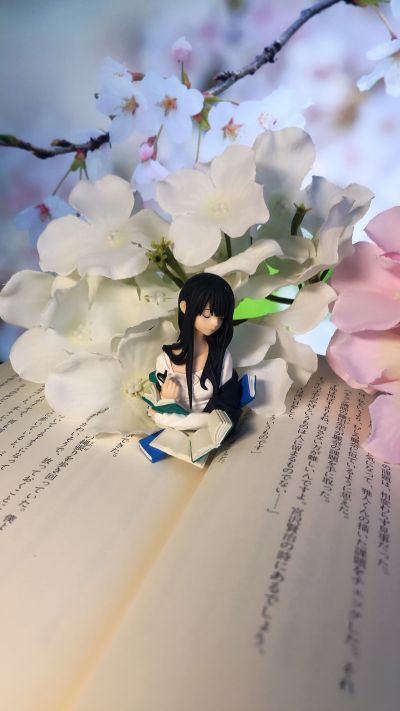 ビブリア古書堂の事件手帖 篠川栞子