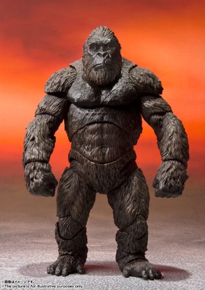 S.H.MonsterArts 哥斯拉 VS. 金刚 金刚 (2021)