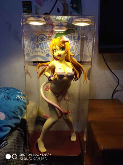 Super Figure 我的妹妹不可能那么可爱 高坂桐乃 猫耳泳衣 通常版