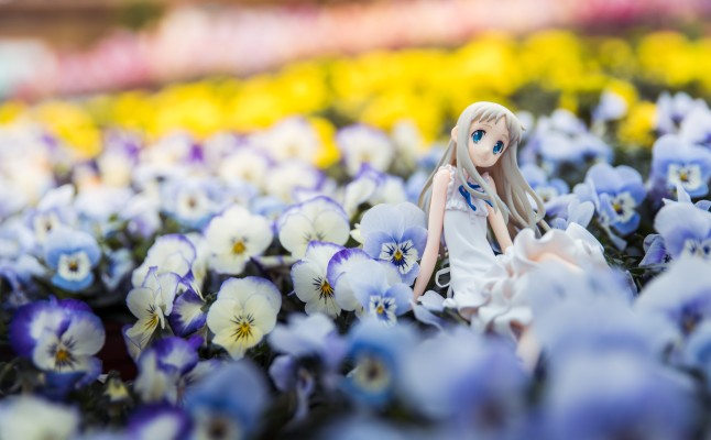alter 面码