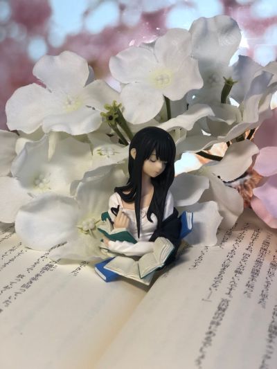 ビブリア古書堂の事件手帖 篠川栞子