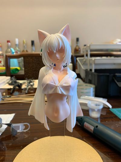 雪猫