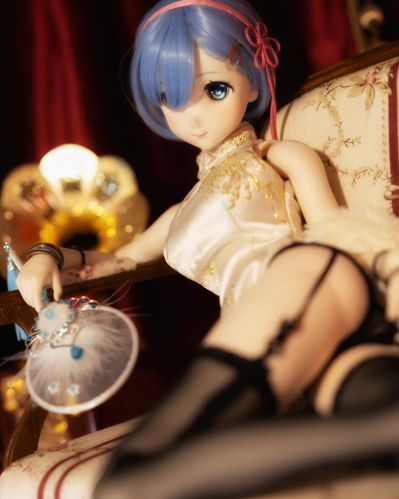 Dollfie Dream Sister DDS Re：从零开始的异世界生活 蕾姆