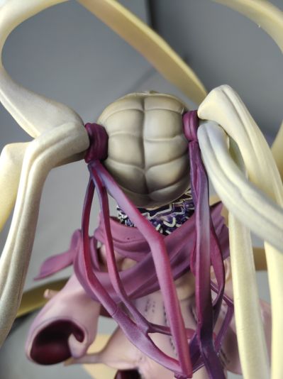 集英社ソリッドセレクション10 テガミバチ 妮琦