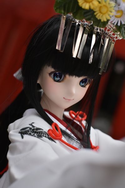 Dollfie Dream Sister DDS 偶像大师 萩原雪歩