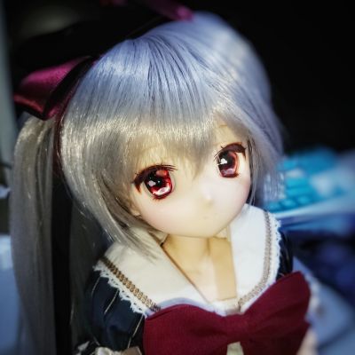 艾莉丝收集 安娜/Stellar light twins ver.1.1～丝碧卡的黎明～(通常贩售ver.)