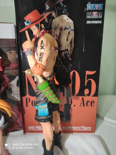 One Piece - Memory Figure 海贼王 波特卡斯·D·艾斯