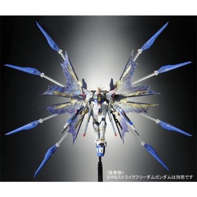 RG 机动战士高达SEED DESTINY  强袭自由高达用 扩展特效件“天空之翼”