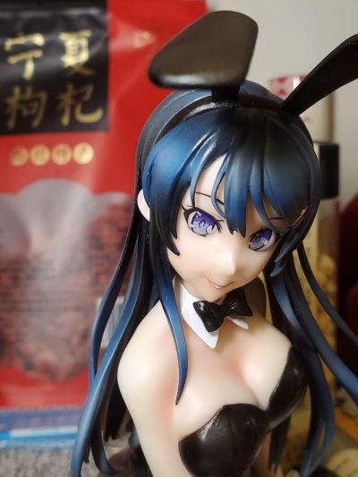 青春期笨蛋不做兔女郎学姐的梦 樱岛麻衣 兔女郎ver.
