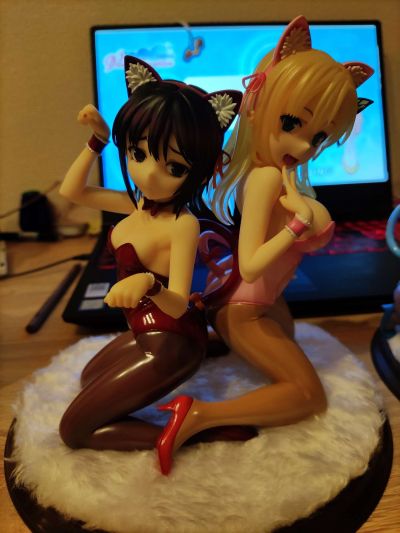 我的朋友很少NEXT 三日月夜空 キャットコスチュームVer.