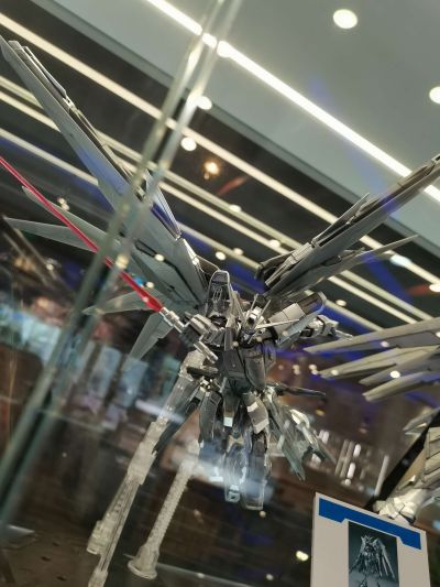 MG 高达基地限定 机动战士高达SEED  自由高达 2.0版 [银色涂装]