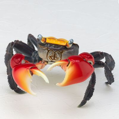 REVOGEO 红爪蟹