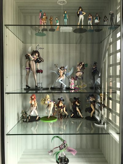 【施工中】新柜子 迁移我的塑料小人