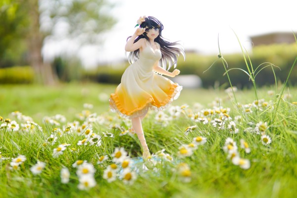 Coreful  青春猪头少年不会梦到兔女郎学姐 樱岛麻衣~夏日衣裙~