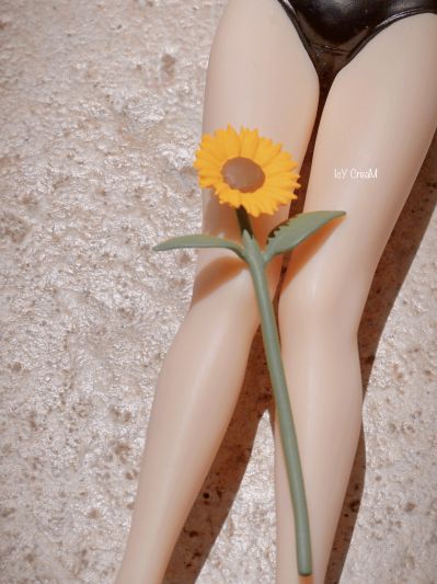 ひまわりの約束🌻