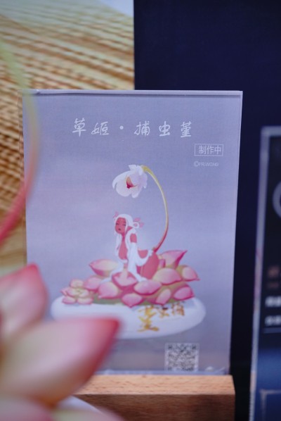 草姬 捕虫堇